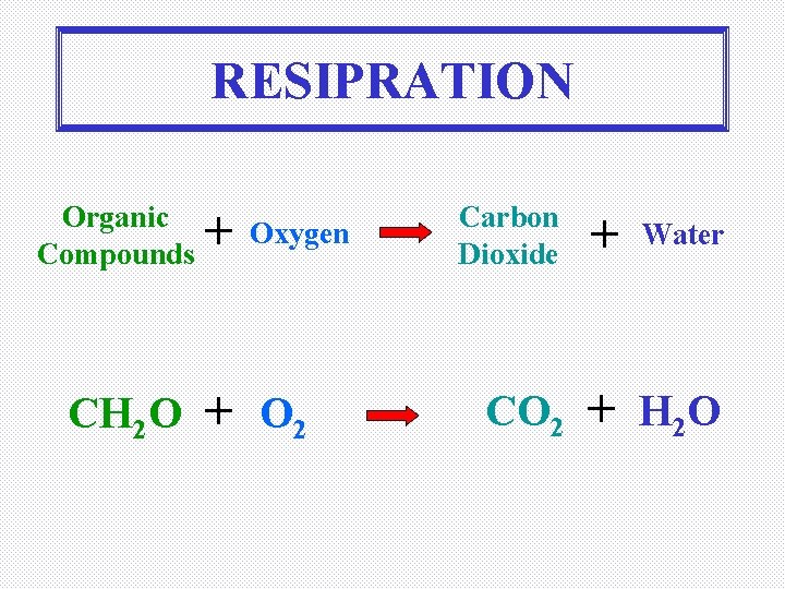 RESIPRATION Organic Compounds CH 2 O + Oxygen + O 2 Carbon Dioxide CO
