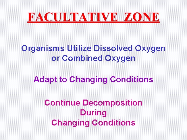 FACULTATIVE ZONE Organisms Utilize Dissolved Oxygen or Combined Oxygen Adapt to Changing Conditions Continue