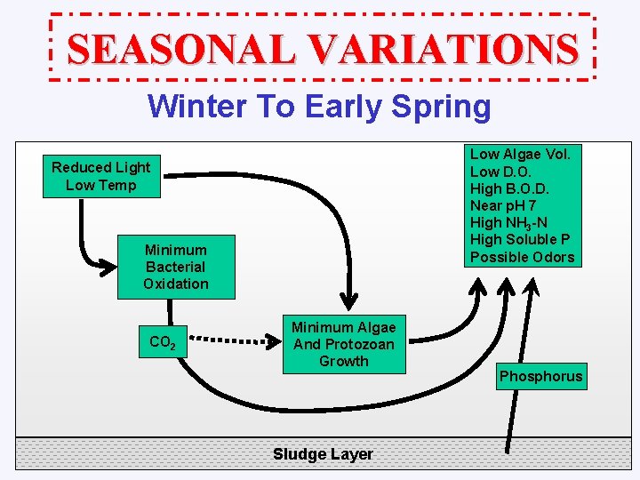 SEASONAL VARIATIONS Winter To Early Spring Low Algae Vol. Low D. O. High B.