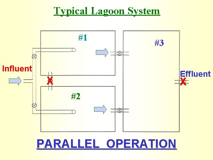 Typical Lagoon System #1 #3 Influent Effluent X X #2 PARALLEL OPERATION 