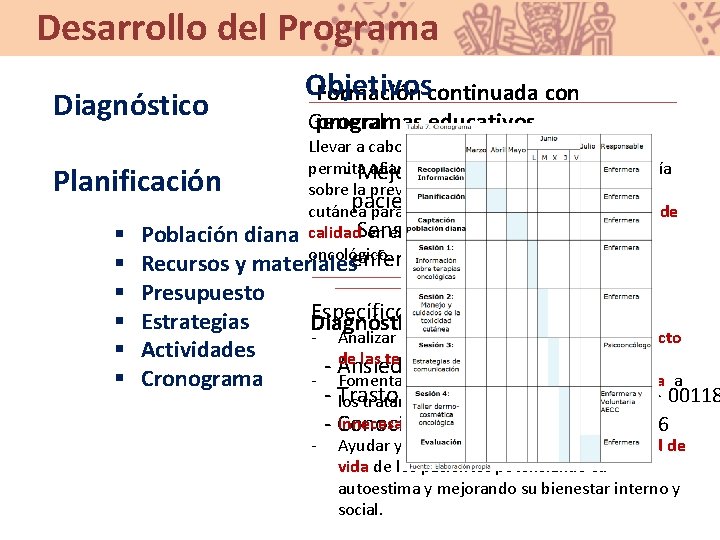 Desarrollo del Programa Diagnóstico Planificación § § § Objetivos Formación continuada con General programas