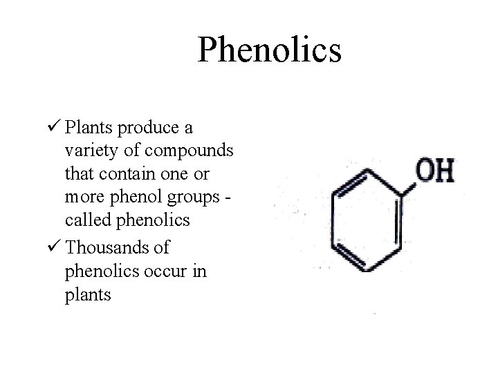Phenolics ü Plants produce a variety of compounds that contain one or more phenol