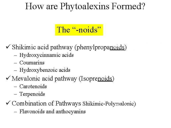 How are Phytoalexins Formed? The “-noids” ü Shikimic acid pathway (phenylpropanoids) – Hydroxycinnamic acids