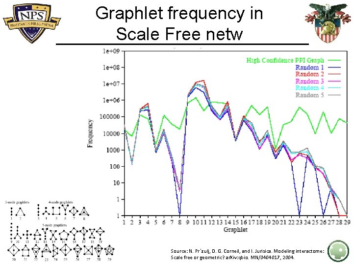 Graphlet frequency in Scale Free netw Source: N. Prˆzulj, D. G. Corneil, and I.