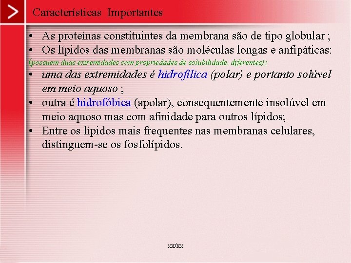 Características Importantes • As proteínas constituintes da membrana são de tipo globular ; • Características Importantes • As proteínas constituintes da membrana são de tipo globular ; •