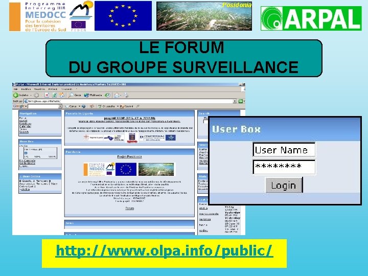 Posidonia LE FORUM DU GROUPE SURVEILLANCE http: //www. olpa. info/public/ 