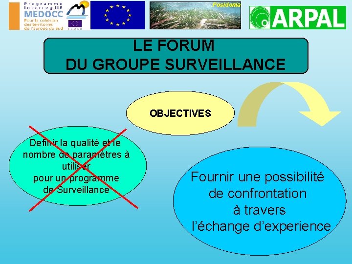 Posidonia LE FORUM DU GROUPE SURVEILLANCE OBJECTIVES Definir la qualité et le nombre de