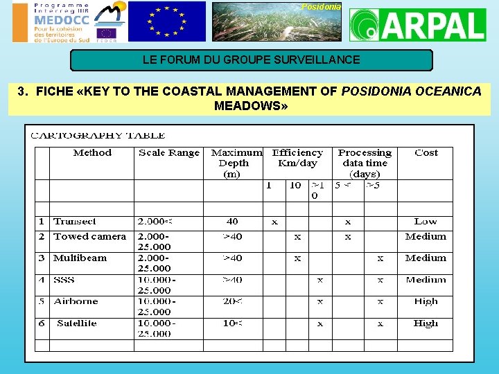 Posidonia LE FORUM DU GROUPE SURVEILLANCE 3. FICHE «KEY TO THE COASTAL MANAGEMENT OF