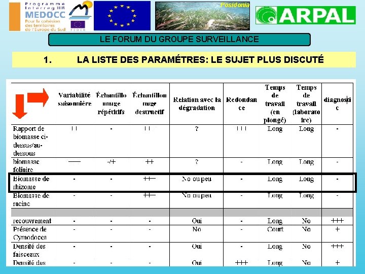 Posidonia LE FORUM DU GROUPE SURVEILLANCE 1. LA LISTE DES PARAMÉTRES: LE SUJET PLUS