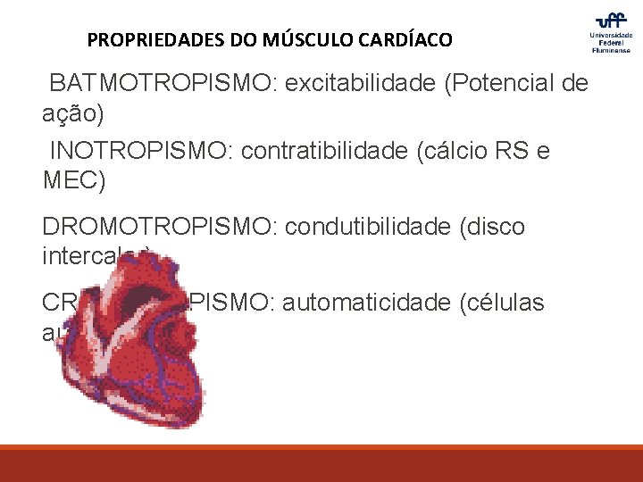PROPRIEDADES DO MÚSCULO CARDÍACO BATMOTROPISMO: excitabilidade (Potencial de ação) INOTROPISMO: contratibilidade (cálcio RS e