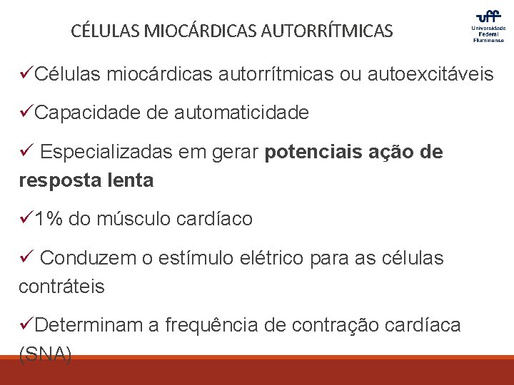 CÉLULAS MIOCÁRDICAS AUTORRÍTMICAS üCélulas miocárdicas autorrítmicas ou autoexcitáveis üCapacidade de automaticidade ü Especializadas em