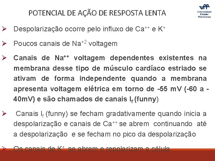 POTENCIAL DE AÇÃO DE RESPOSTA LENTA Ø Despolarização ocorre pelo influxo de Ca++ e