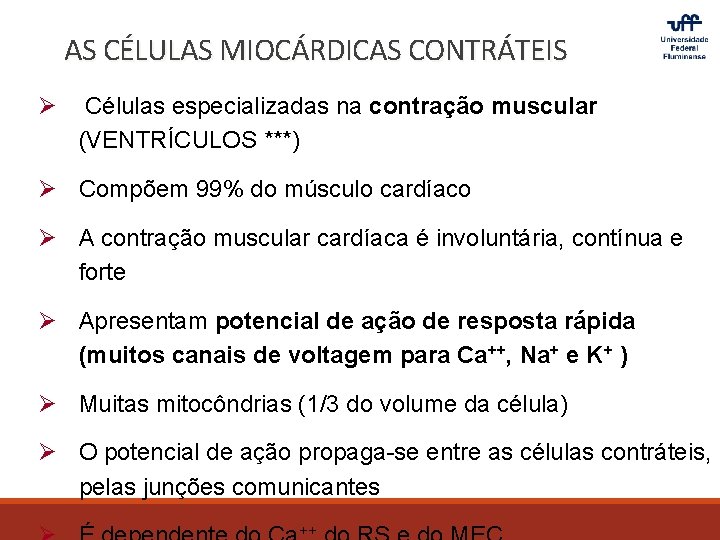 AS CÉLULAS MIOCÁRDICAS CONTRÁTEIS Ø Células especializadas na contração muscular (VENTRÍCULOS ***) Ø Compõem