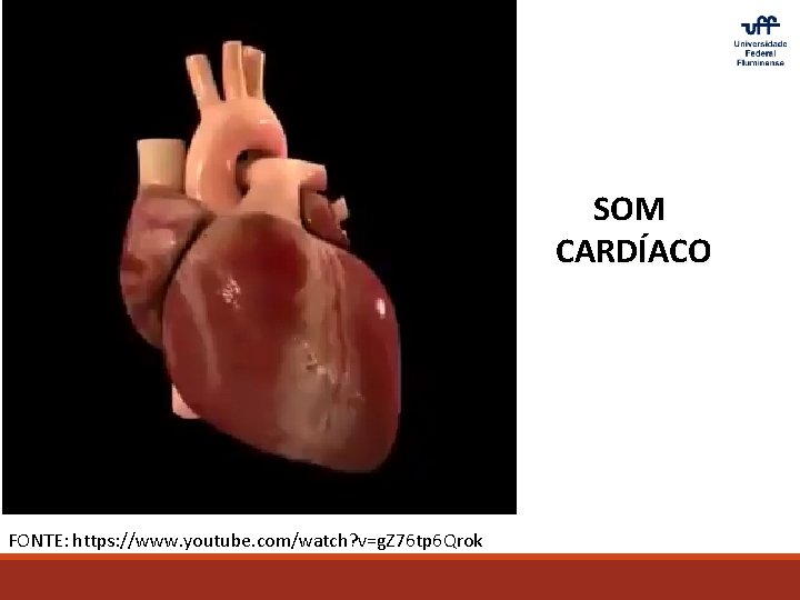 SOM CARDÍACO FONTE: https: //www. youtube. com/watch? v=g. Z 76 tp 6 Qrok 
