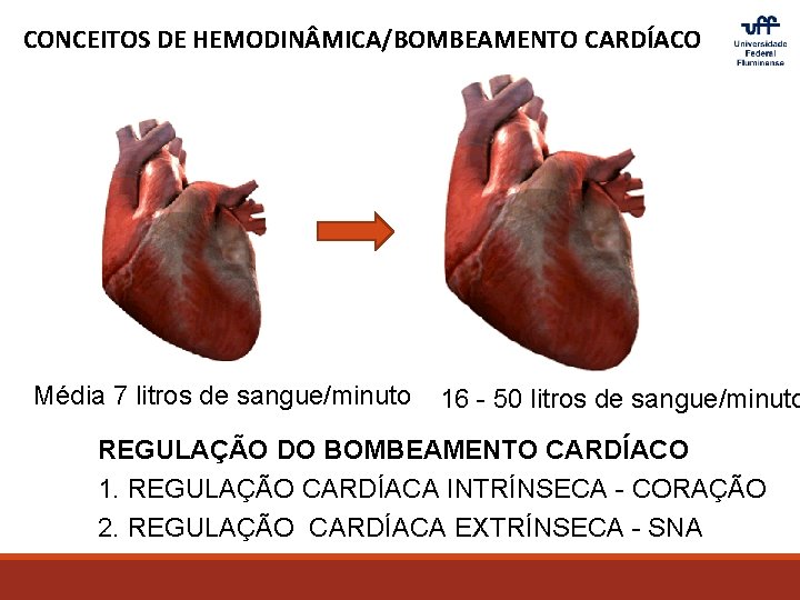 CONCEITOS DE HEMODIN MICA/BOMBEAMENTO CARDÍACO Média 7 litros de sangue/minuto 16 - 50 litros