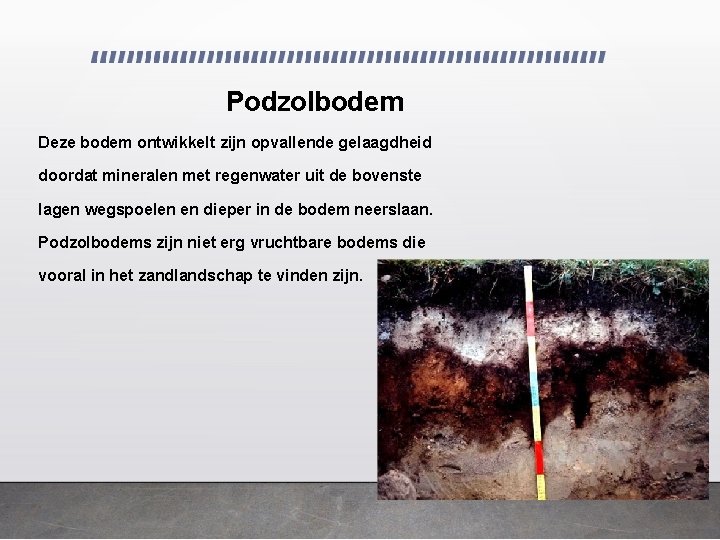 Podzolbodem Deze bodem ontwikkelt zijn opvallende gelaagdheid doordat mineralen met regenwater uit de bovenste