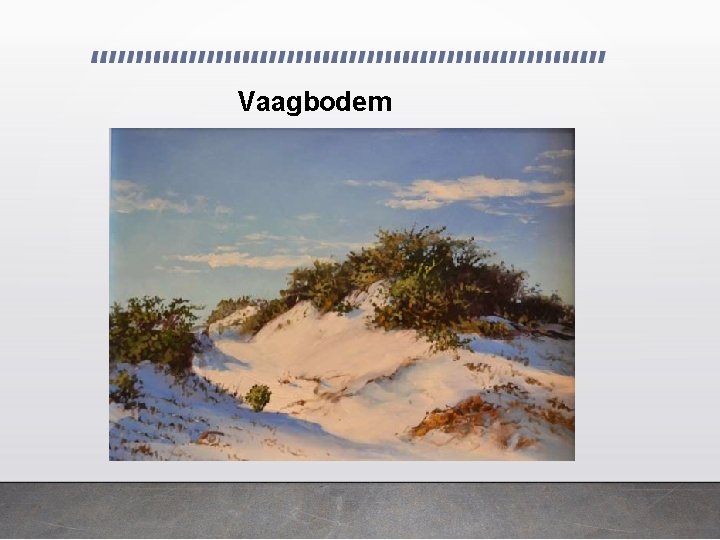 Vaagbodem 
