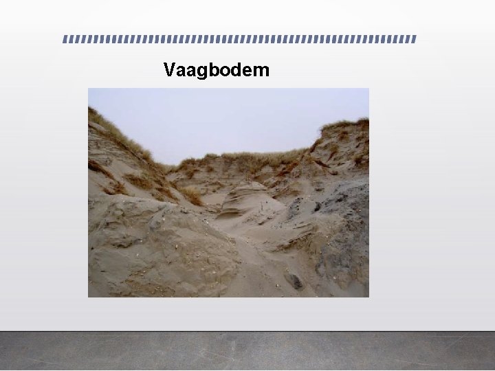 Vaagbodem 