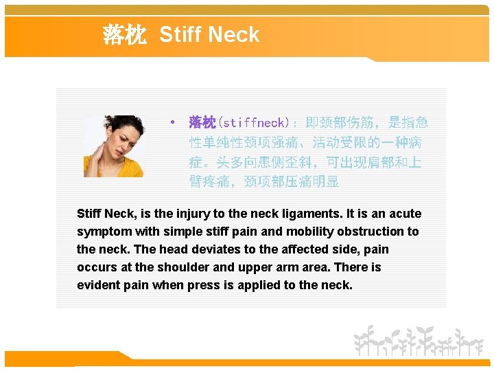 落枕 Stiff Neck • 落枕(stiffneck)：即颈部伤筋，是指急 性单纯性颈项强痛、活动受限的一种病 症。头多向患侧歪斜，可出现肩部和上 臂疼痛，颈项部压痛明显 Stiff Neck, is the injury to