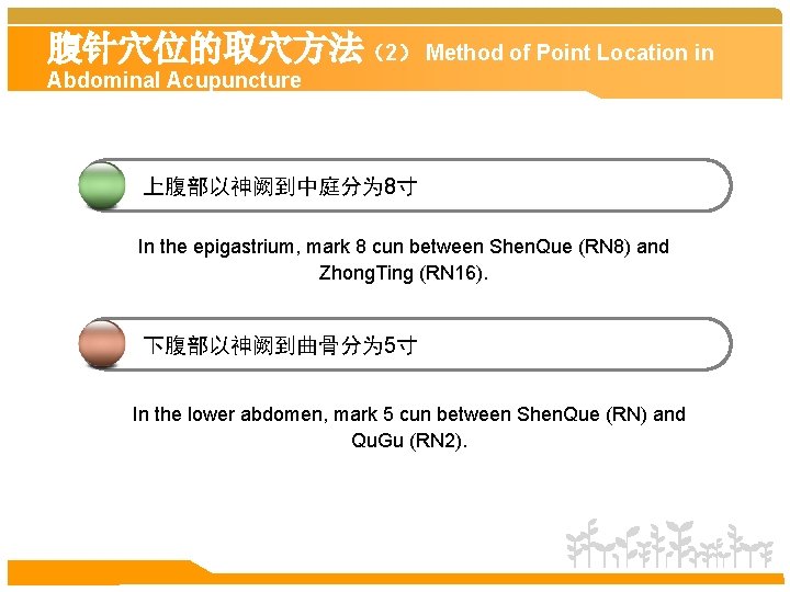 腹针穴位的取穴方法（2） Method of Point Location in Abdominal Acupuncture 上腹部以神阙到中庭分为 8寸 In the epigastrium, mark