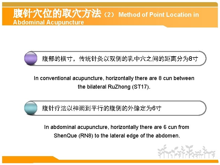 腹针穴位的取穴方法（2） Method of Point Location in Abdominal Acupuncture 腹部的横寸，传统针灸以双侧的乳中穴之间的距离分为 8寸 In conventional acupuncture, horizontally