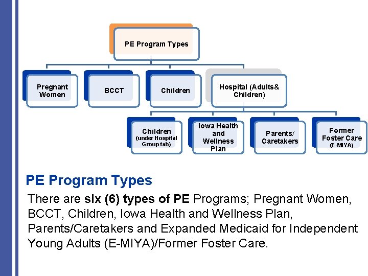 PE Program Types Pregnant Women BCCT Children (under Hospital Group tab) Hospital (Adults& Children)