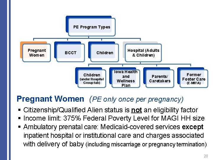 PE Program Types Pregnant Women BCCT Children (under Hospital Group tab) Hospital (Adults &