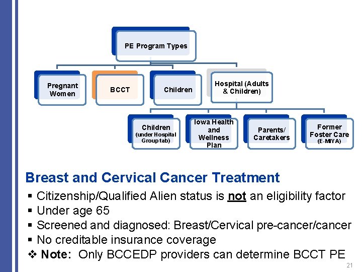 PE Program Types Pregnant Women BCCT Children (under Hospital Group tab) Hospital (Adults &