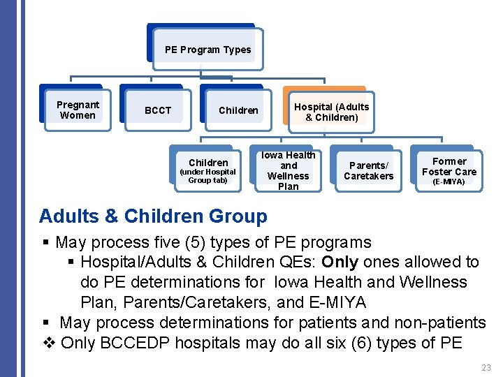 PE Program Types Pregnant Women BCCT Hospital (Adults & Children) Children (under Hospital Group