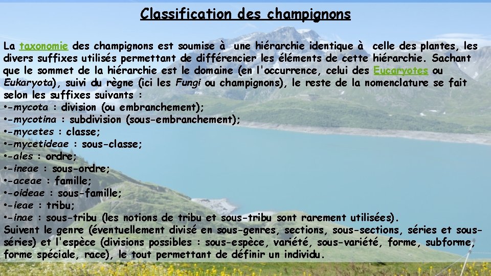 Classification des champignons La taxonomie des champignons est soumise à une hiérarchie identique à