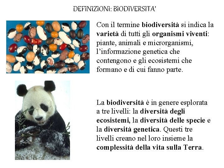 DEFINIZIONI: BIODIVERSITA’ Con il termine biodiversità si indica la varietà di tutti gli organismi