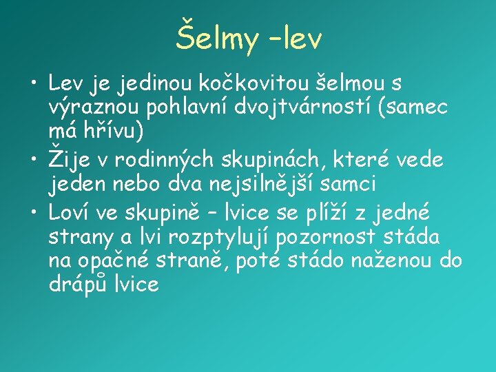 Šelmy –lev • Lev je jedinou kočkovitou šelmou s výraznou pohlavní dvojtvárností (samec má