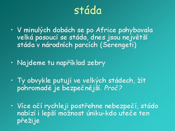 stáda • V minulých dobách se po Africe pohybovala velká pasoucí se stáda, dnes