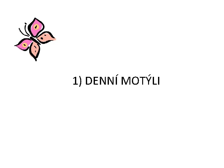 1) DENNÍ MOTÝLI 