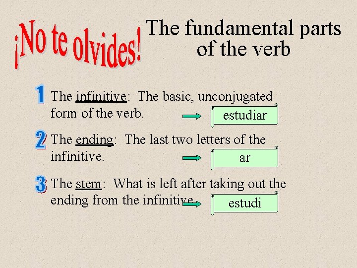 The fundamental parts of the verb The infinitive: The basic, unconjugated form of the