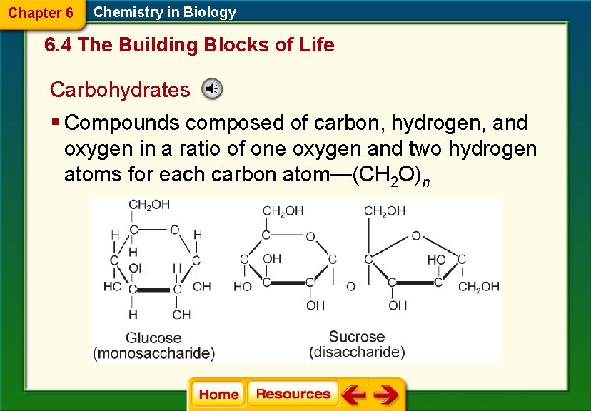 Chapter 6 Chemistry in Biology 6. 4 The Building Blocks of Life Carbohydrates §