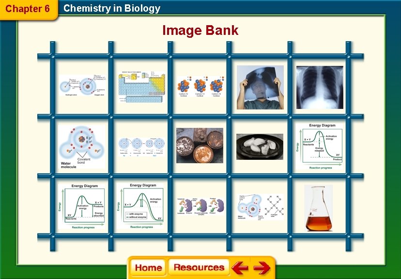 Chapter 6 Chemistry in Biology Image Bank 