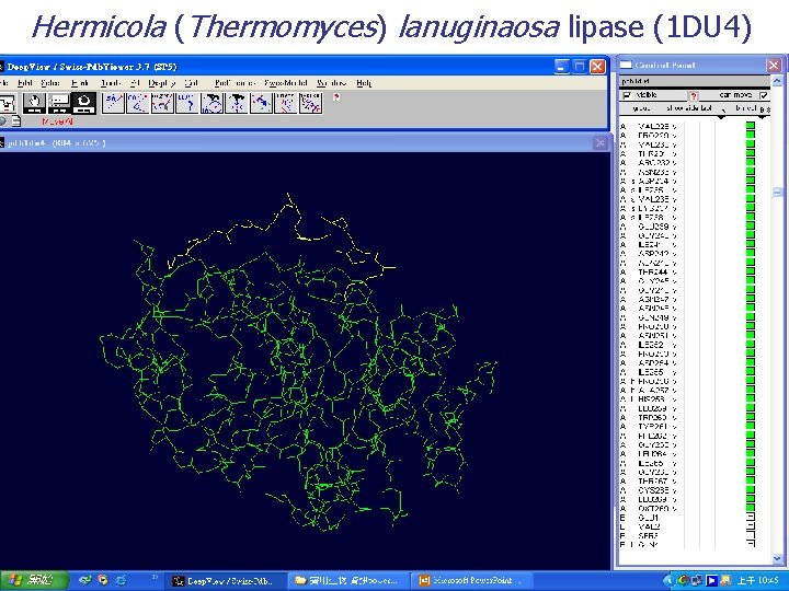 Hermicola (Thermomyces) lanuginaosa lipase (1 DU 4) 