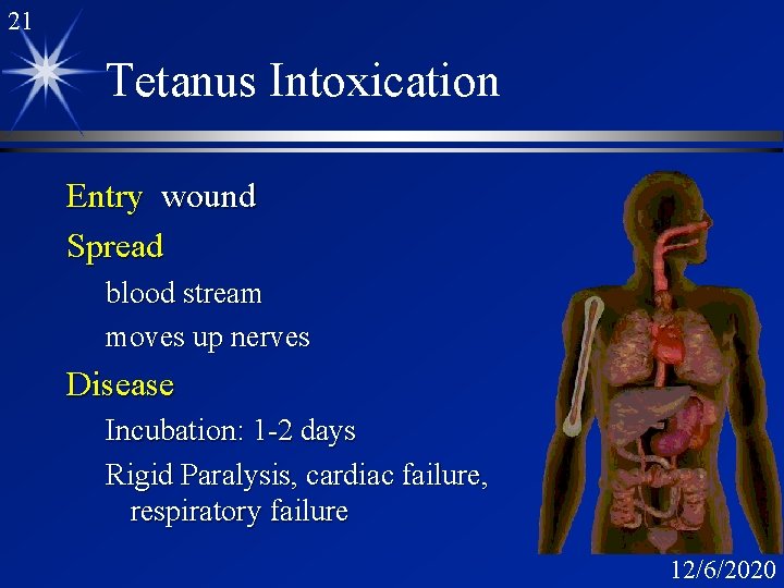 21 Tetanus Intoxication Entry wound Spread blood stream moves up nerves Disease Incubation: 1