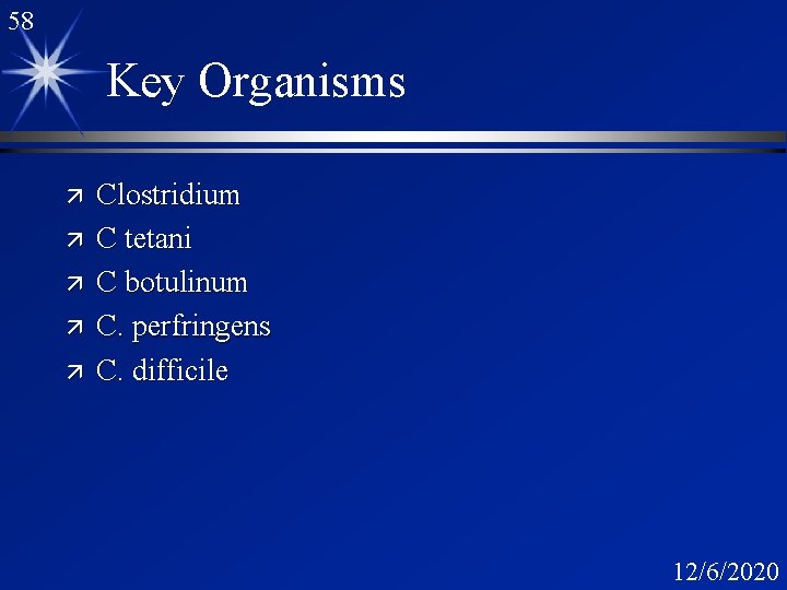 58 Key Organisms ä ä ä Clostridium C tetani C botulinum C. perfringens C.