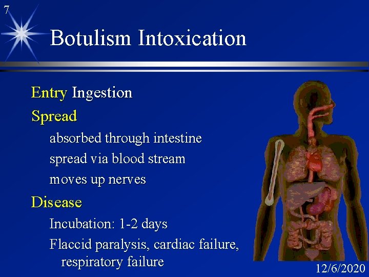 7 Botulism Intoxication Entry Ingestion Spread absorbed through intestine spread via blood stream moves