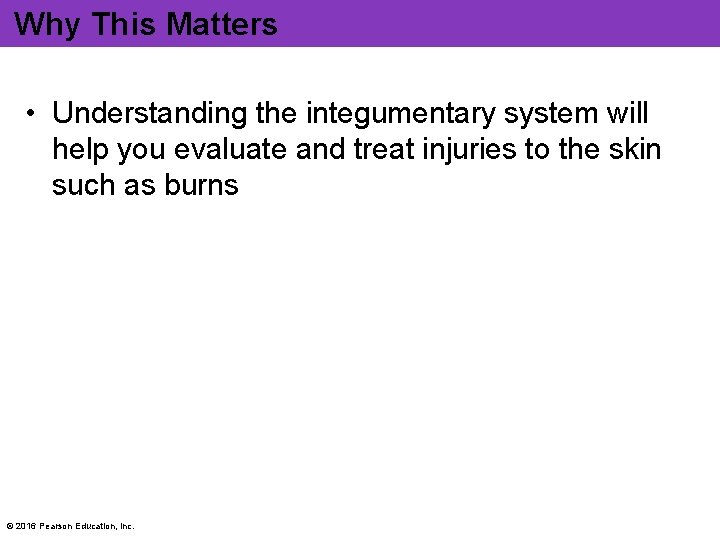 Why This Matters • Understanding the integumentary system will help you evaluate and treat