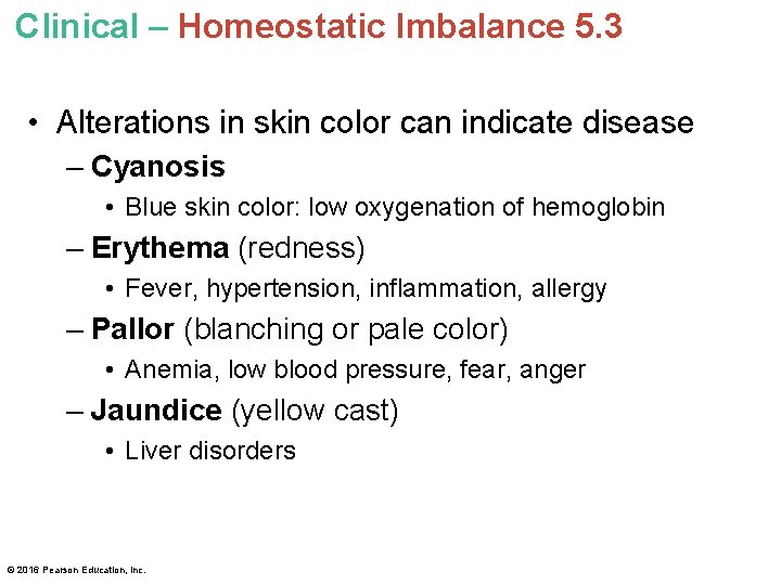 Clinical – Homeostatic Imbalance 5. 3 • Alterations in skin color can indicate disease