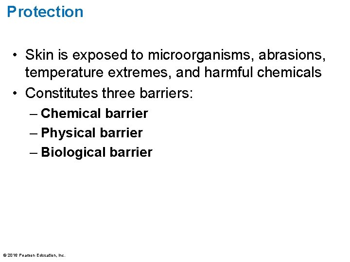 Protection • Skin is exposed to microorganisms, abrasions, temperature extremes, and harmful chemicals •