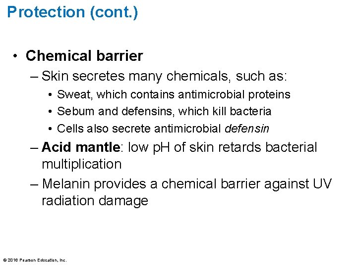 Protection (cont. ) • Chemical barrier – Skin secretes many chemicals, such as: •