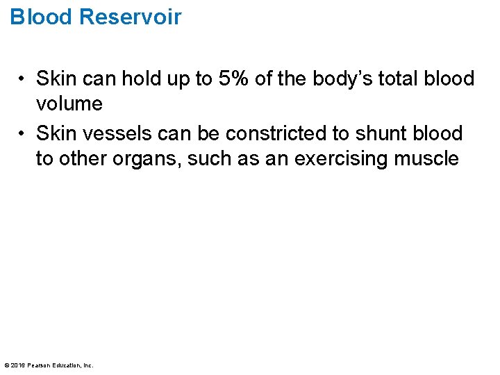 Blood Reservoir • Skin can hold up to 5% of the body’s total blood