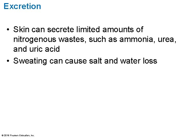 Excretion • Skin can secrete limited amounts of nitrogenous wastes, such as ammonia, urea,