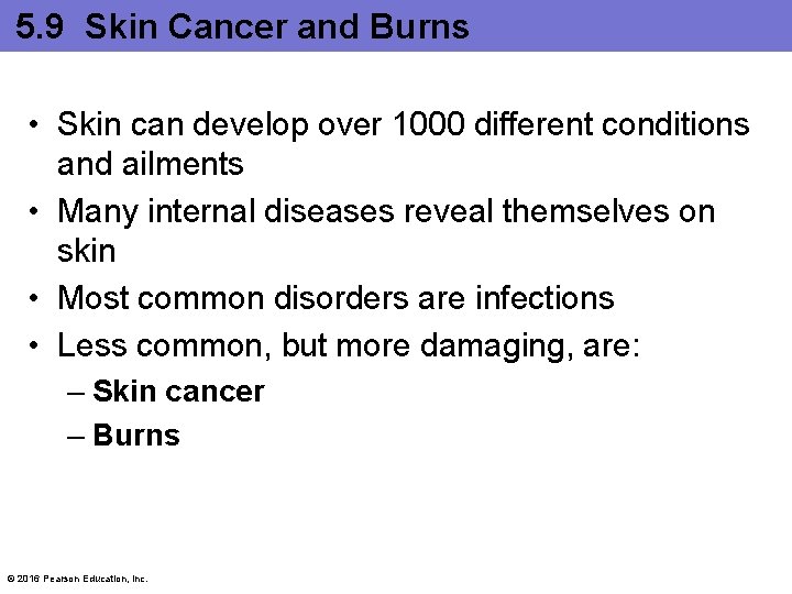 5. 9 Skin Cancer and Burns • Skin can develop over 1000 different conditions