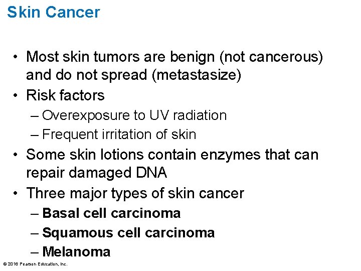 Skin Cancer • Most skin tumors are benign (not cancerous) and do not spread