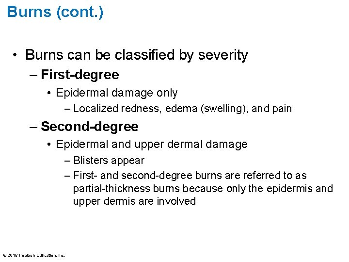 Burns (cont. ) • Burns can be classified by severity – First-degree • Epidermal